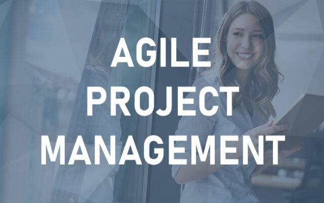 Agile Project Management - Agile Mindset 4 ore