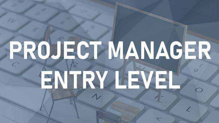 Project Manager Entry Level - 2h